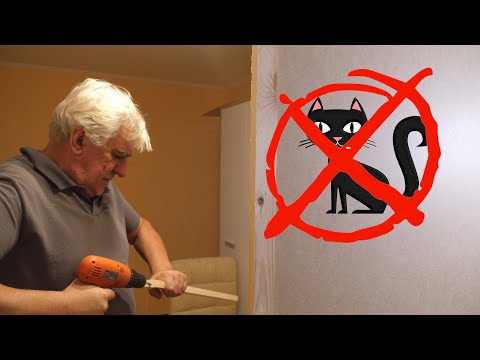 Видео: VLOG Костю замучали кошки. ЧТО он СДЕЛАЛ