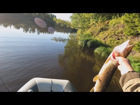 Видео: Остался один в лодке: рыба сошла с ума?Рыбалка на одной из северных рек