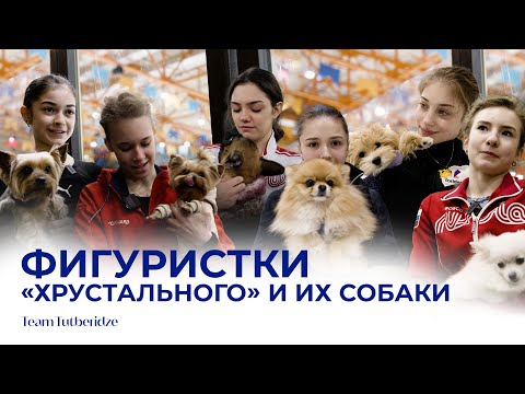 Видео: Фигуристки «Хрустального» и их собаки