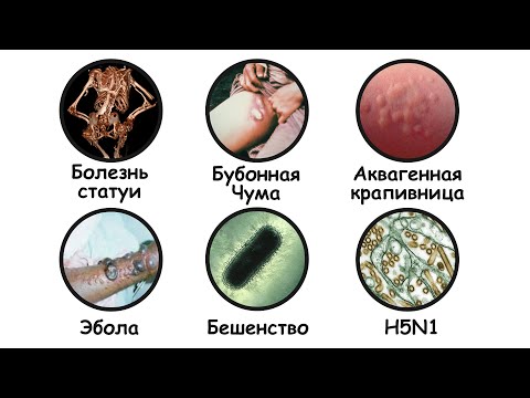 Видео: Ужасные болезни, которые вас убьют