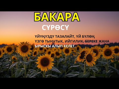 Видео: "Осы сүрені оқысаң, ризық күтпеген жерден келеді!"