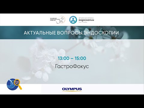 Видео: ГастроФокус