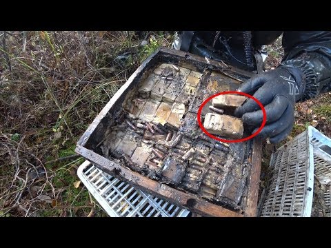 Видео: Стоит нырнуть в болото и сразу Винтовки, ящики с патронами, поиск на металлоискатель и магнит