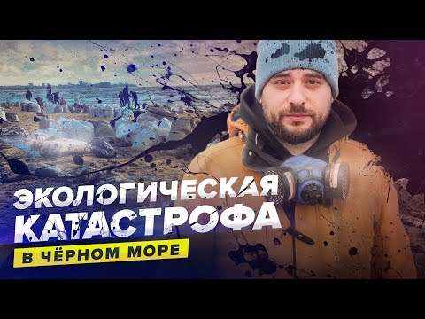 Видео: Экологическая катастрофа в Чёрном море | Сортировочная