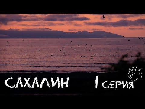 Видео: Выжить на Сахалине в пешем походе| Серия 1| Южно-Сахалинск| о.Айруп| Морской Еж