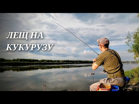 Видео: Ловля ЛЕЩа фидером на реке. Рыбалка 2024. ЛЕЩ на кукурузу.