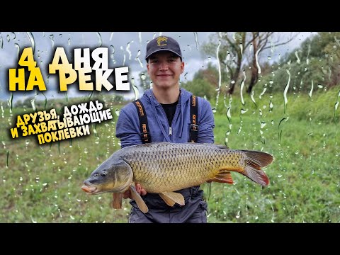 Видео: Как МЫ ловим сазанов! Четыре дня на реке