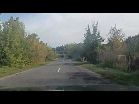 Видео: Дорога в родную деревню ❤️ Краски, Волковысский р-н, Гродненская область. 