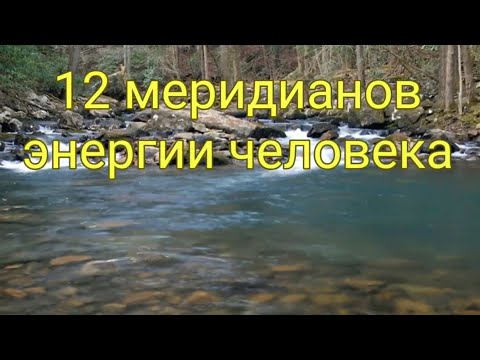 Видео: 1*. Цигун для начинающих: "12 меридианов энергии человека" @DeduschkaSanja