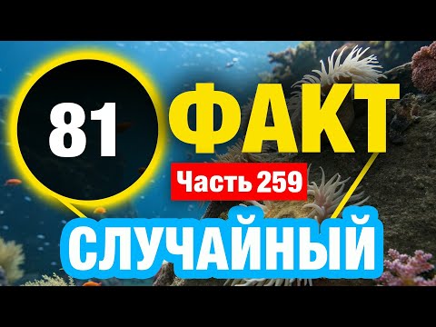 Видео: 81 Завораживающий Факт Который Сделает Вас Умнее