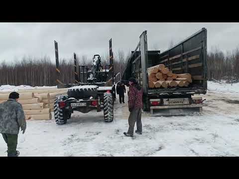 Видео: Срубы от Кидяева Сергея. Погрузка сруба.