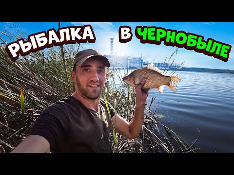 Видео: Рыбалка в Чернобыле [Часть-2] Поймал и запек карася с белыми грибами в глине.