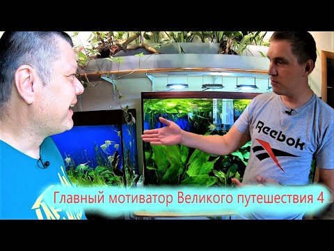 Видео: Аквариумист Туапсе Николай