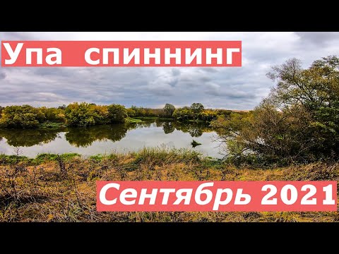 Видео: Упа, спиннинг, сентябрь 2021