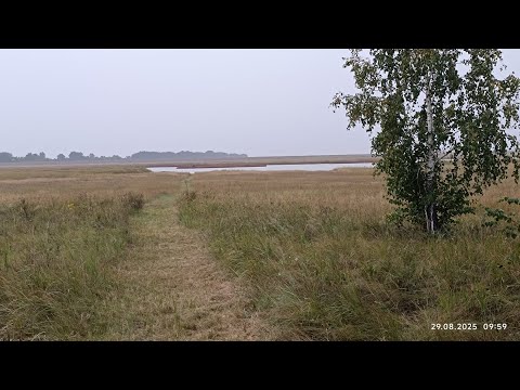 Видео: Два дня до открытия охоты! Отдых на природе в глухой местности👌😉 29.08.2025         # осенняя#охота#