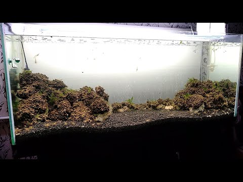 Видео: Как сделать аквариум без фильтрации биотоп.How to make a tank without filtering biotope