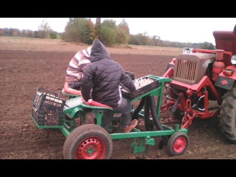 Видео: Сажаем чеснок с сажалкой.Сажалка для чеснока