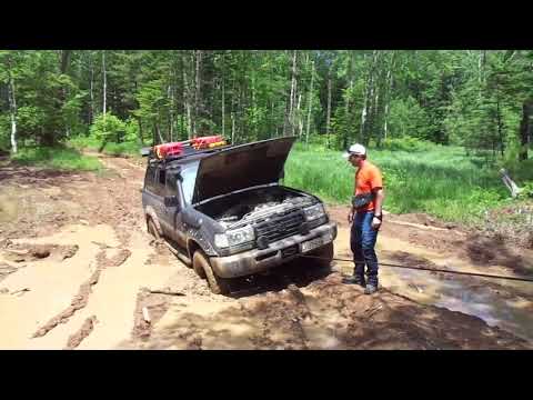 Видео: Отдых в лесу