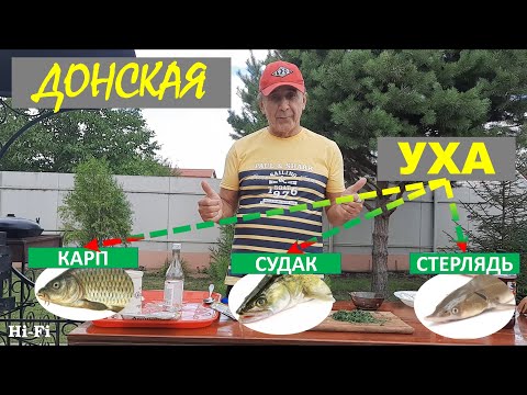 Видео: Как приготовить Уху в казане на костре. УХА ИЗ СТЕРЛЯДИ КАРПА СУДАКА. Просто и вкусно.