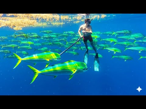 Видео: Нам так повезло! Мечта о морской подводной охоте {Поймай, почисти и приготовь}