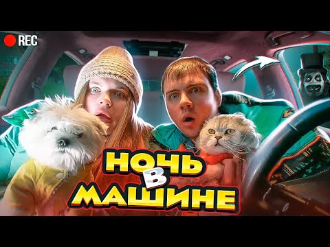 Видео: НОЧЬ В МАШИНЕ С КОТАМИ СКРЫВАЕМСЯ ОТ МАНЬЯКА! ЗА НАМИ СЛЕДЯТ...