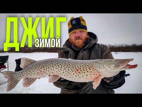 Видео: ЩУКА на джиг со льда. Зимняя рыбалка на Амуре
