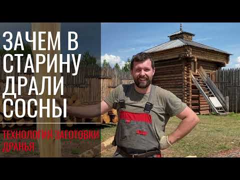 Видео: Зачем в старину драли сосны? Технология заготовки дранья.