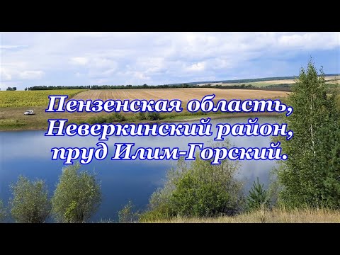 Видео: Илим- Гора, плотина, пруд, рыбалка. 24.08.2023.