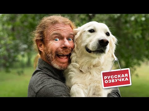 Видео: О ярых любителях собак | by_drozd