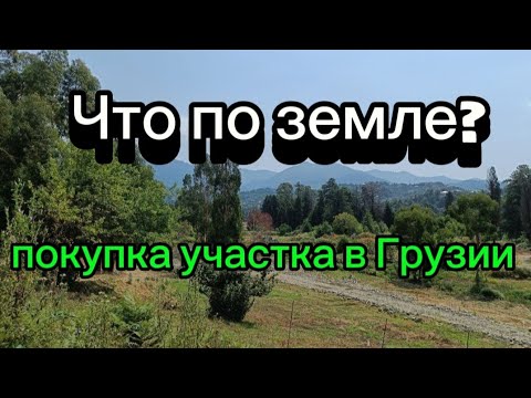 Видео: Покупка земли в Грузии, подводные камни и личный опыт