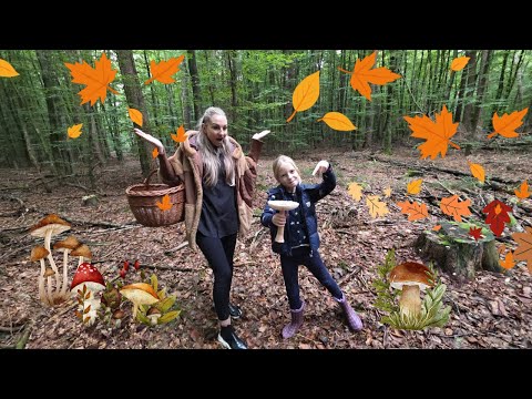 Видео: Грибной челлендж: угадай съедобный или несъедобный!😋