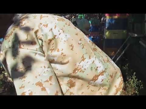 Видео: Изоляция маток на главыный взяток результат   копия