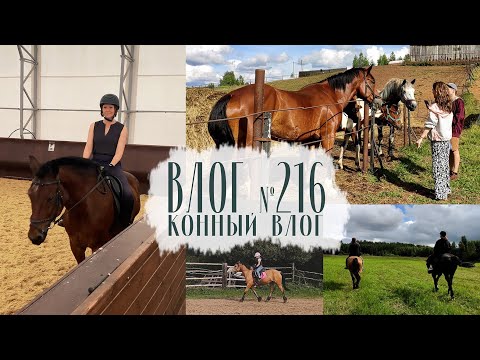 Видео: Конный влог. Лошади в деревне, тренировки дома. Влог №216