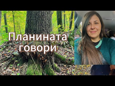 Видео: РАЗГЛЕЖДАНЕ НА СИЛВАШВАРАД: КЪДЕТО ВОДАТА ПАДА И ГОРАТА ШЕПНЕ