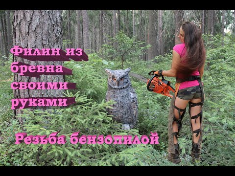 Видео: Удивительная РЕЗЬБА по дереву БЕНЗОПИЛОЙ (#Amazing chainsawcarving OWL #diy