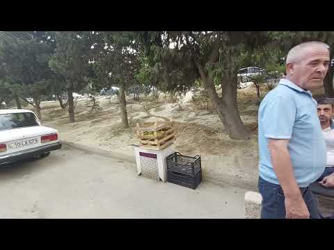 Видео: Baku⛅По просьбе  зрителей  2 микр. ул.Джавадхана.#старыйбаку #баку #baku #video