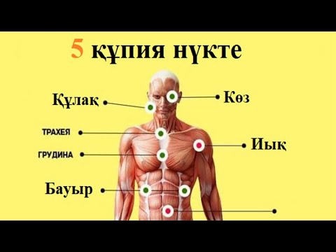 Видео: АДАМ ДЕНЕСІНДЕГІ 5 ҚҰПИЯ НҮКТЕ!