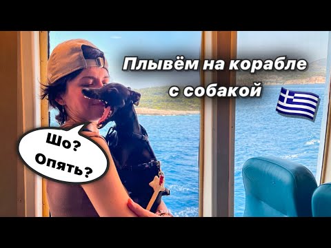 Видео: Наша собака в шоке. Причаливаем к новому, греческому острову Скопелос. Из Германии в Грецию. День12