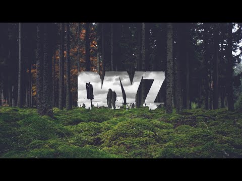 Видео: DAYZ! В ПОИСКАХ ЛУТА!