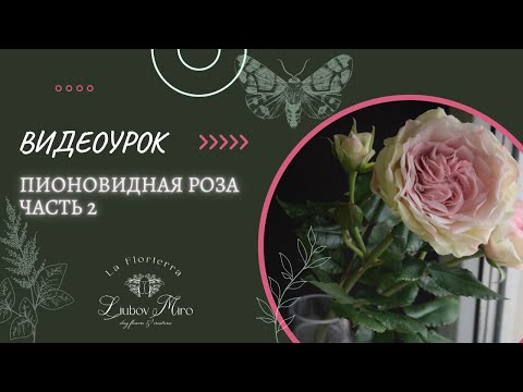 Видео: МК ПО РОЗЕ ИЗ ХОЛОДНОГО ФАРФОРА: Часть 2