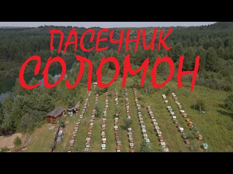 Видео: ПАСЕЧНИК СОЛОМОН ПРОДОЛЖЕНИЕ