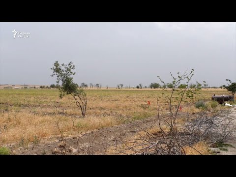 Видео: Дарахтони Боғи миллии Фархор чаро хушк шуд?