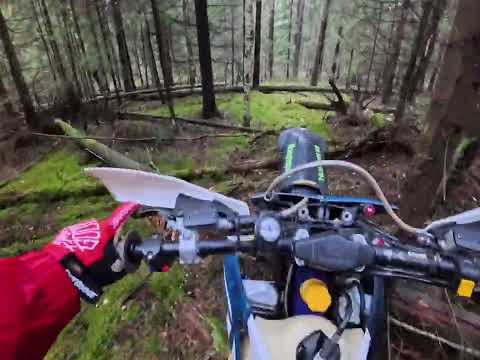 Видео: 2 ноября 2025 г.