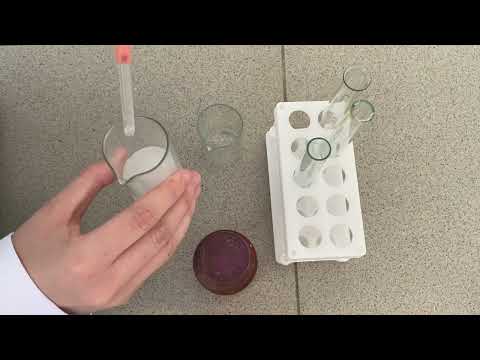 Видео: №1 зертханалық тәжірибе «Қышқыл, сілті ерітінділерінің рН анықтау»