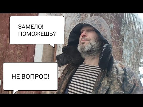 Видео: Помог фермеру. Знакомство с козами