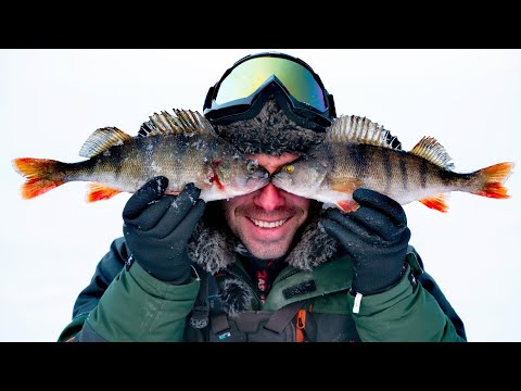 Видео: ОКУНЬ. ЭХОЛОТ-открыл мне ДРУГОЙ МИР! Ловля ГОРБАЧЕЙ на Самодельные Блесны