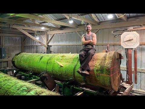 Видео: Распиливаем тополь длиной 14 футов и высотой 33 дюйма! #39