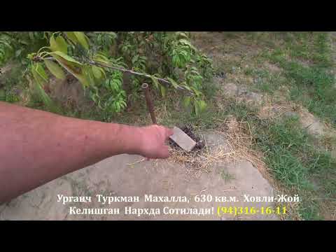 Видео: Еглаб Юборасизлар Нархини Эшитинглар!#хоразм_уй_жой_нархлари2025#rek#villa#rec#xorazmuyjoy