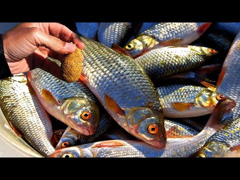 Видео: Чувствительная дедовская снасть для рыбалки со льда зимой.