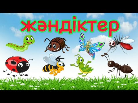 Видео: Жәндіктер. Насекомые на казахском. Жәндіктер балаларға арналған. Жәндіктер әлемі.